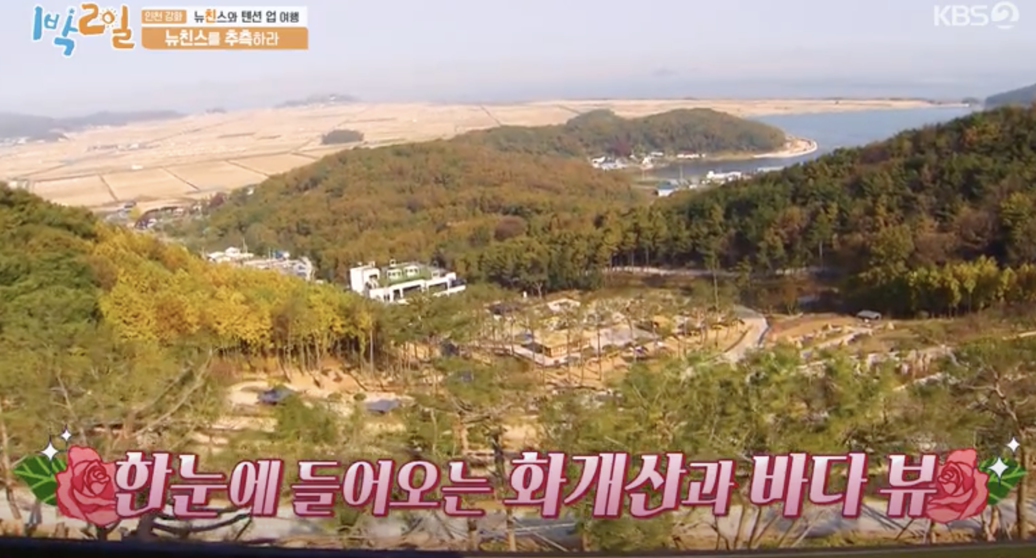 화개산