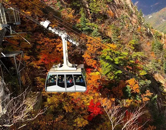 설악산 단풍 시기