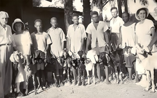 아프리카 사람들과 슈바이처