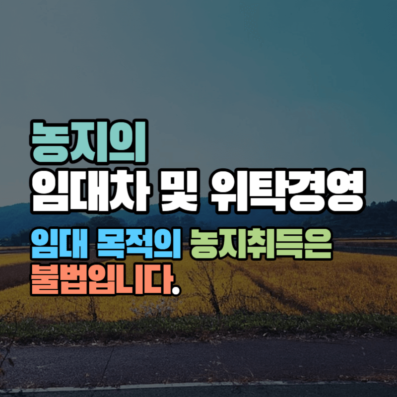 임대 목적의 농지 취득은 불법입니다.: 농지의 임대차 및 위탁경영