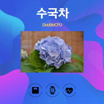 수국차 알아보기