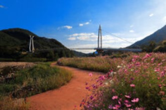 곡성 장미축제