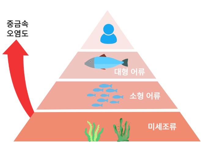 오메가3 추천