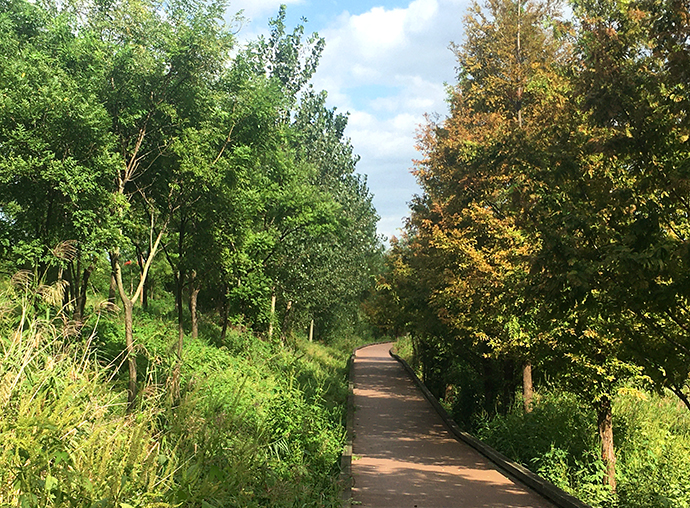 경인아라뱃길_두리생태공원2