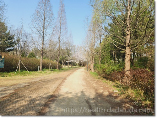 영종도 둘레길 1코스 건강백년길 주차장