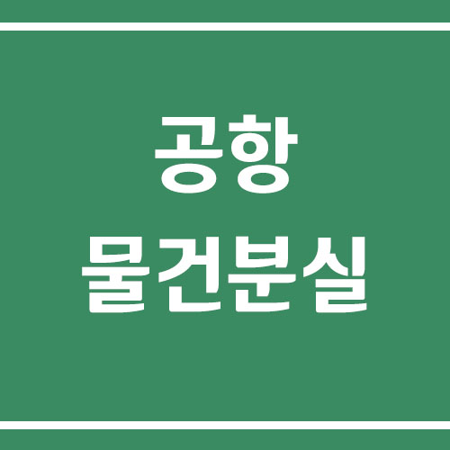 공항에서 물건을 분실한 경우 대처 방법