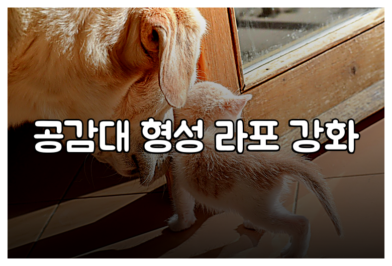 공감대 형성 라포 강화