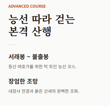 내장산 단풍절정시기