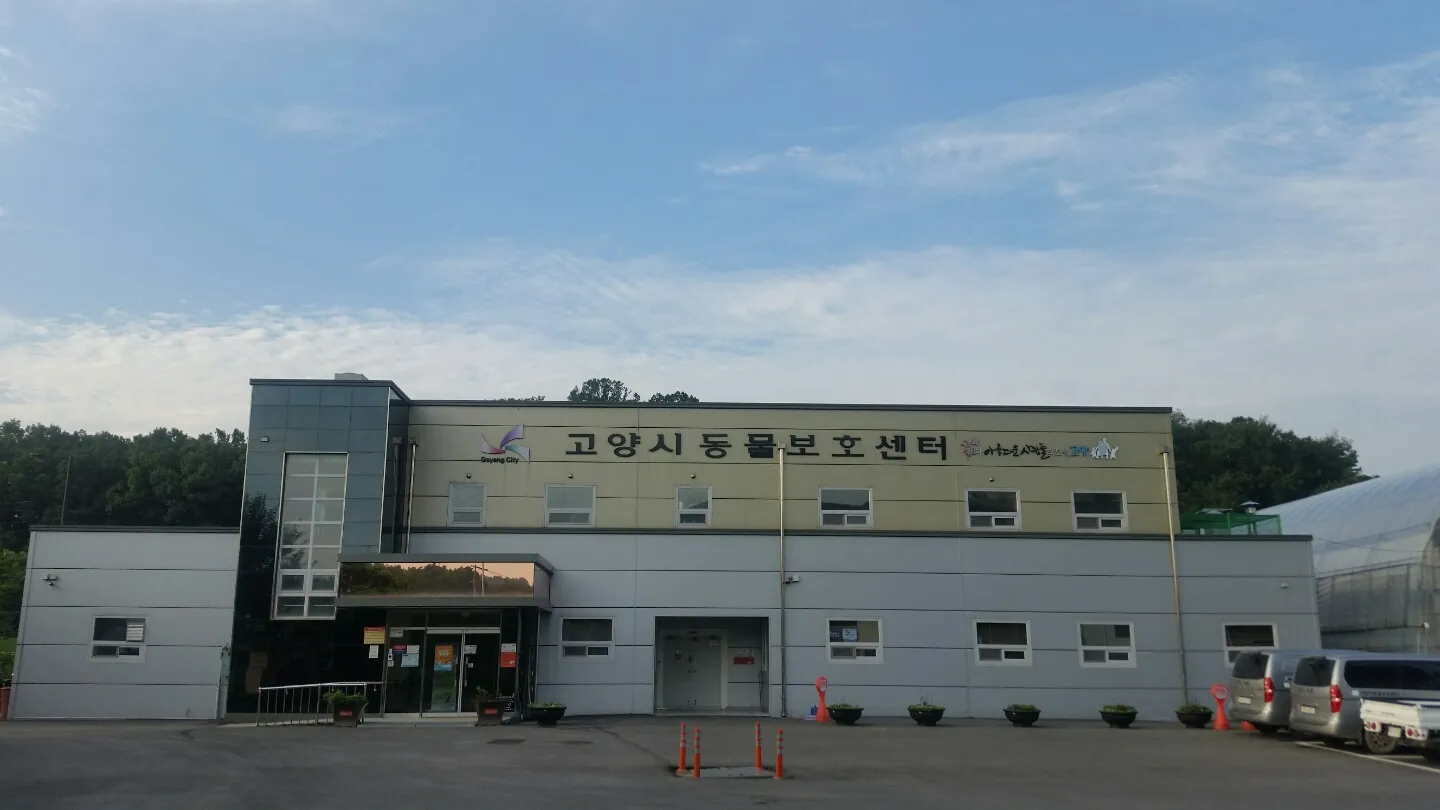 유기동물보호센터 갈 곳 잃은 천사들 희망 이야기_7
