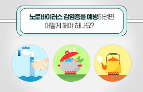 노로바이러스 감염을 예방-홍보