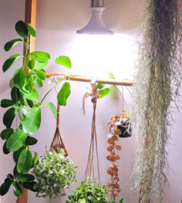 실내 식물조명 비교, LED식물등