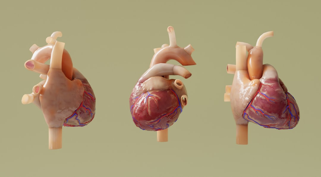 Cardiovascular.