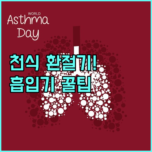 만성 천식 환절기 건강 관리와 올바른..