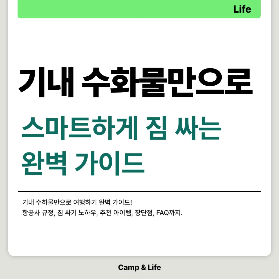 기내 수하물만으로 여행하기 완벽 가이드