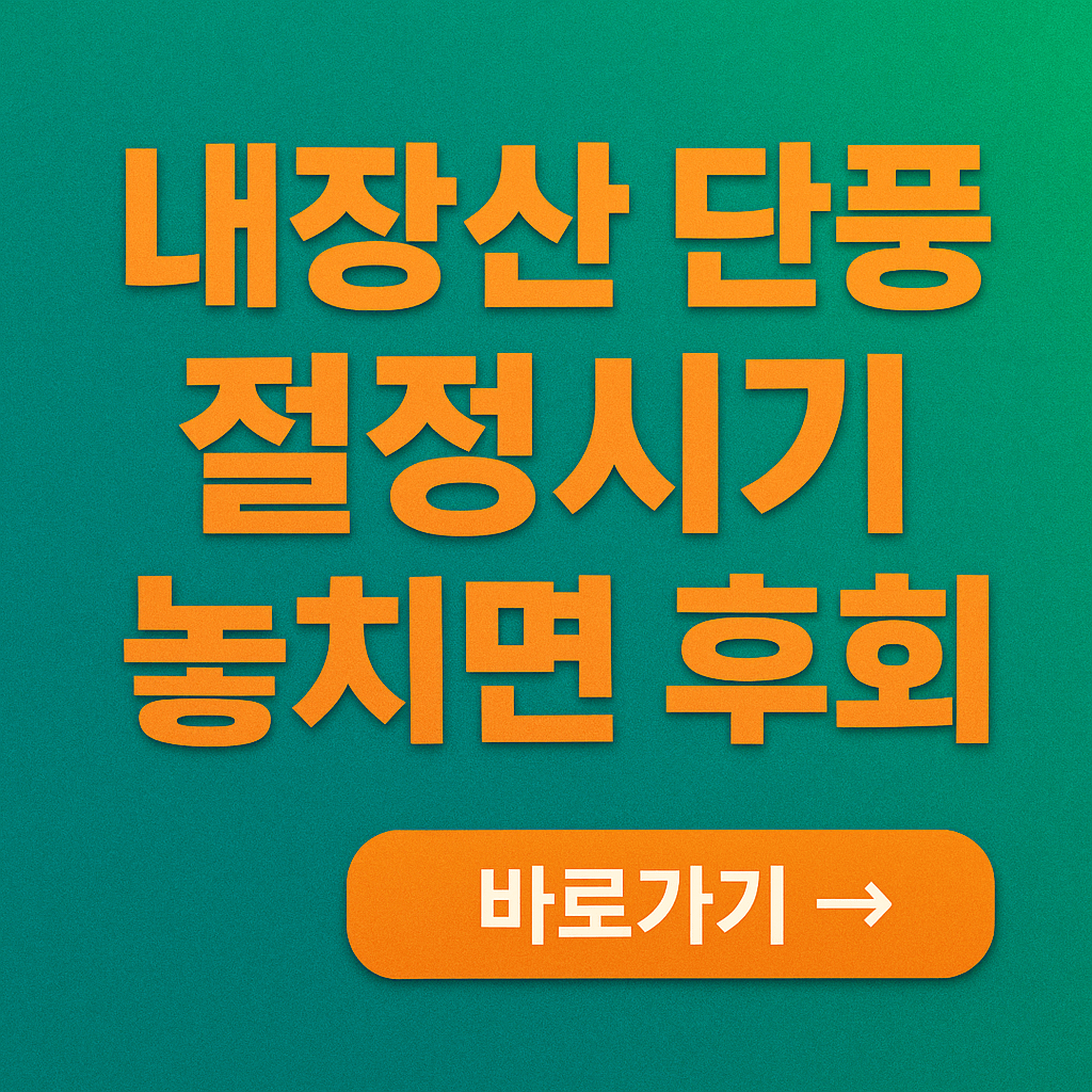 내장산 단풍 절정시기