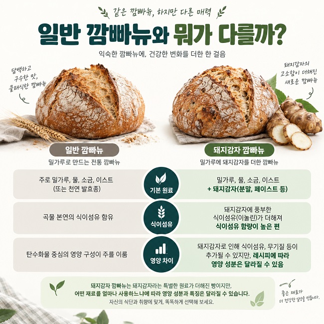 일반 깜빠뉴와 돼지감자 깜빠뉴의 원료 차이를 보여주는 비교 인포그래픽
