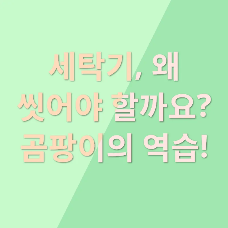 세탁조 청결_1