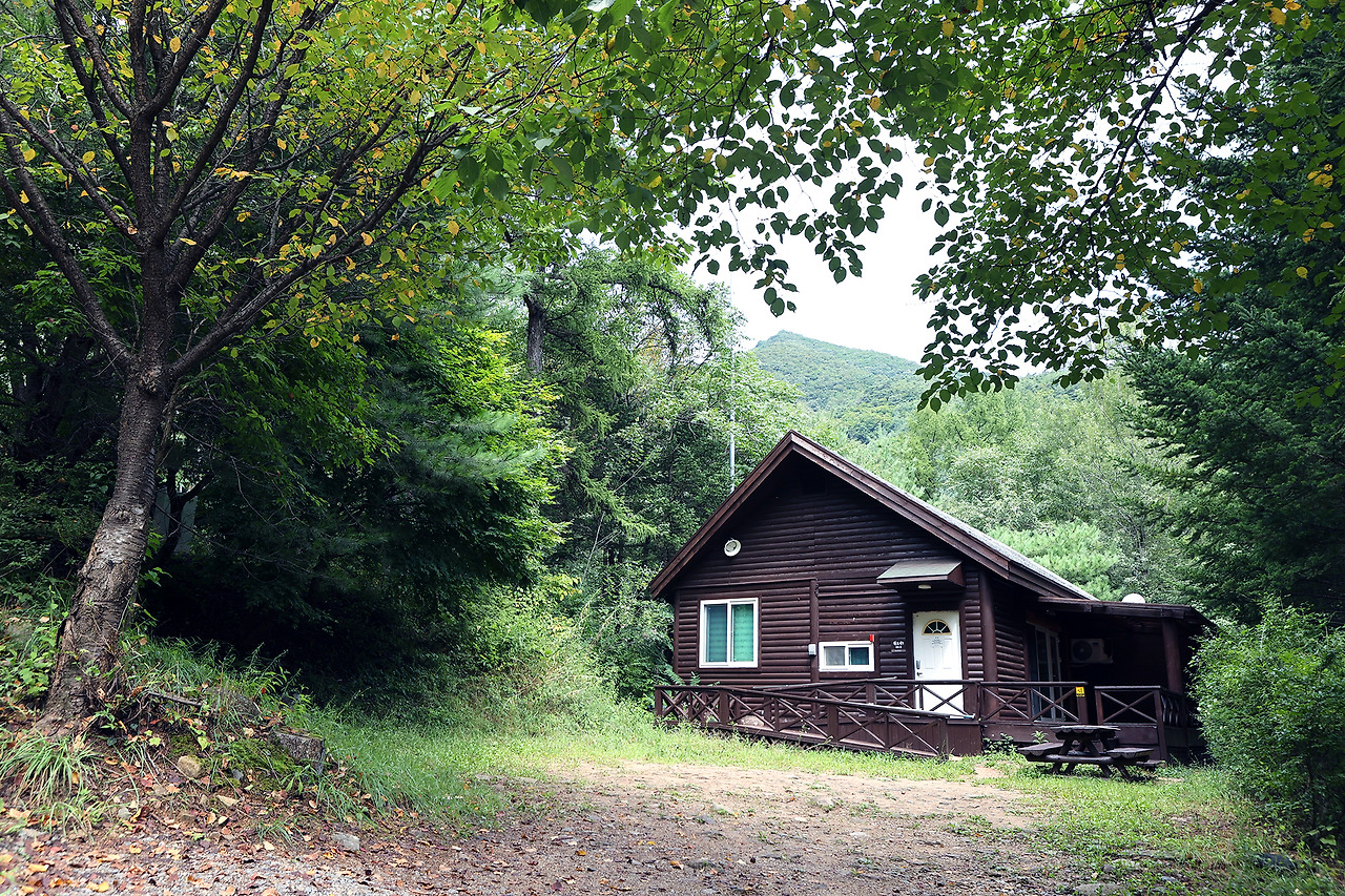 산음자연휴양림