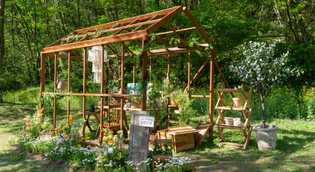 2025 화순 봄꽃 축제