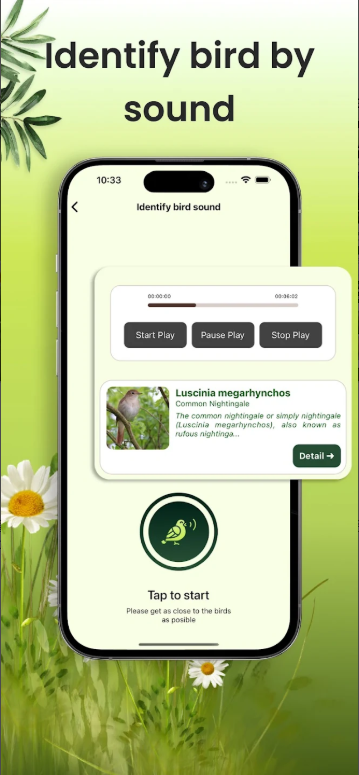 새 이름 찾기 앱, 핸드폰 사진으로 조류 이름 검색, 조류 도감 보기