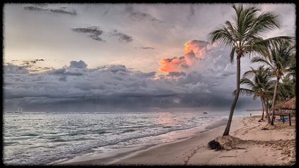 특례보금자리론