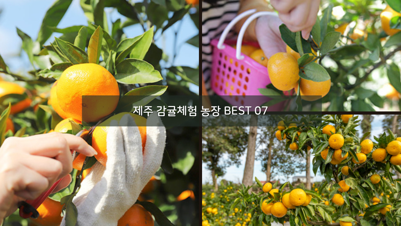 웰컴투 삼달리 드라마 제주 촬영지 가볼만한곳 추천 BEST 06