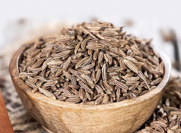 커민 영양 성분