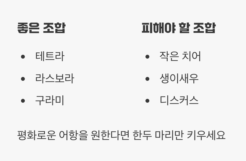 어떤 친구와 잘 지낼까요? (합사 정보)