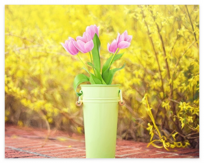 주민등록등본 인터넷발급(정부24)