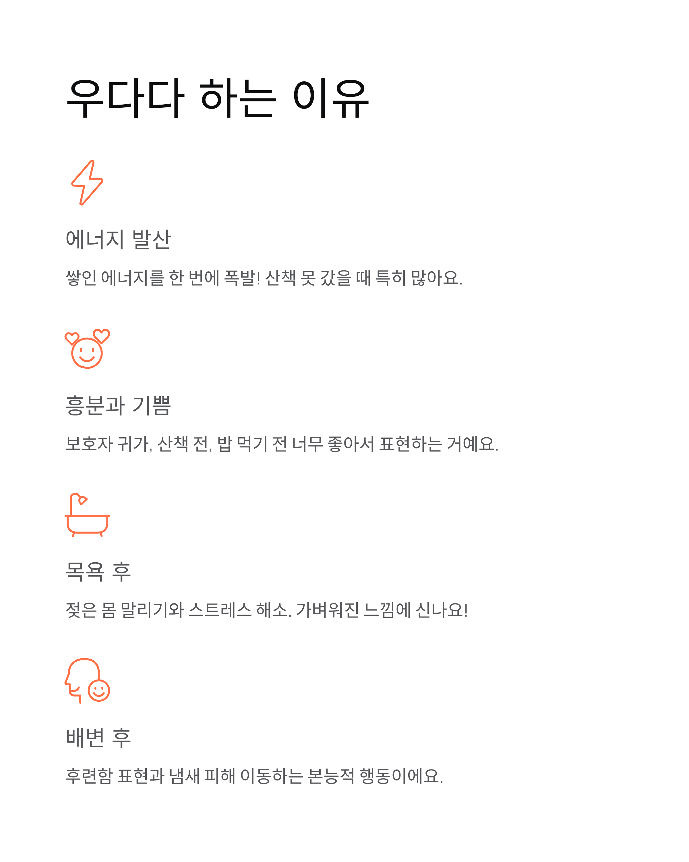 강아지 갑자기 우다다 뛰어다니는 이유? 원인·시간·대처법 총정리