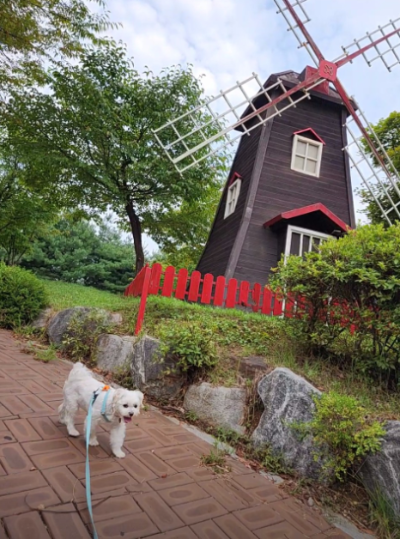 애견동반 휴게소