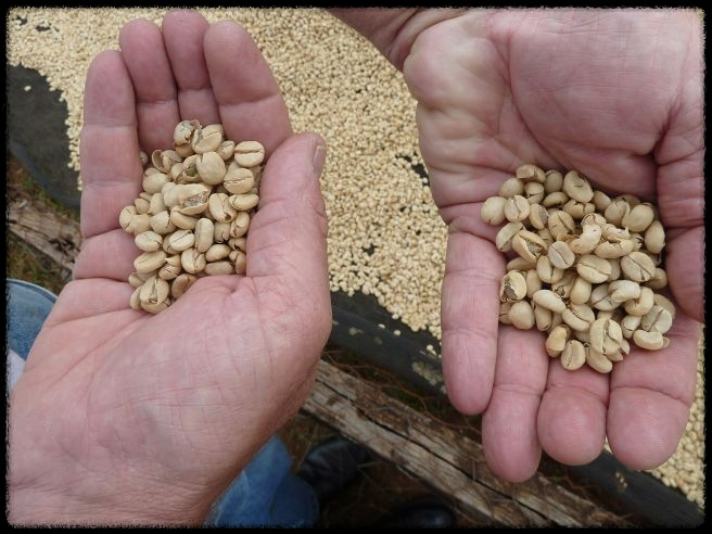 2025년 직불금 신청 방법 완벽 가이드! 신청기간부터 자격까지 총정리