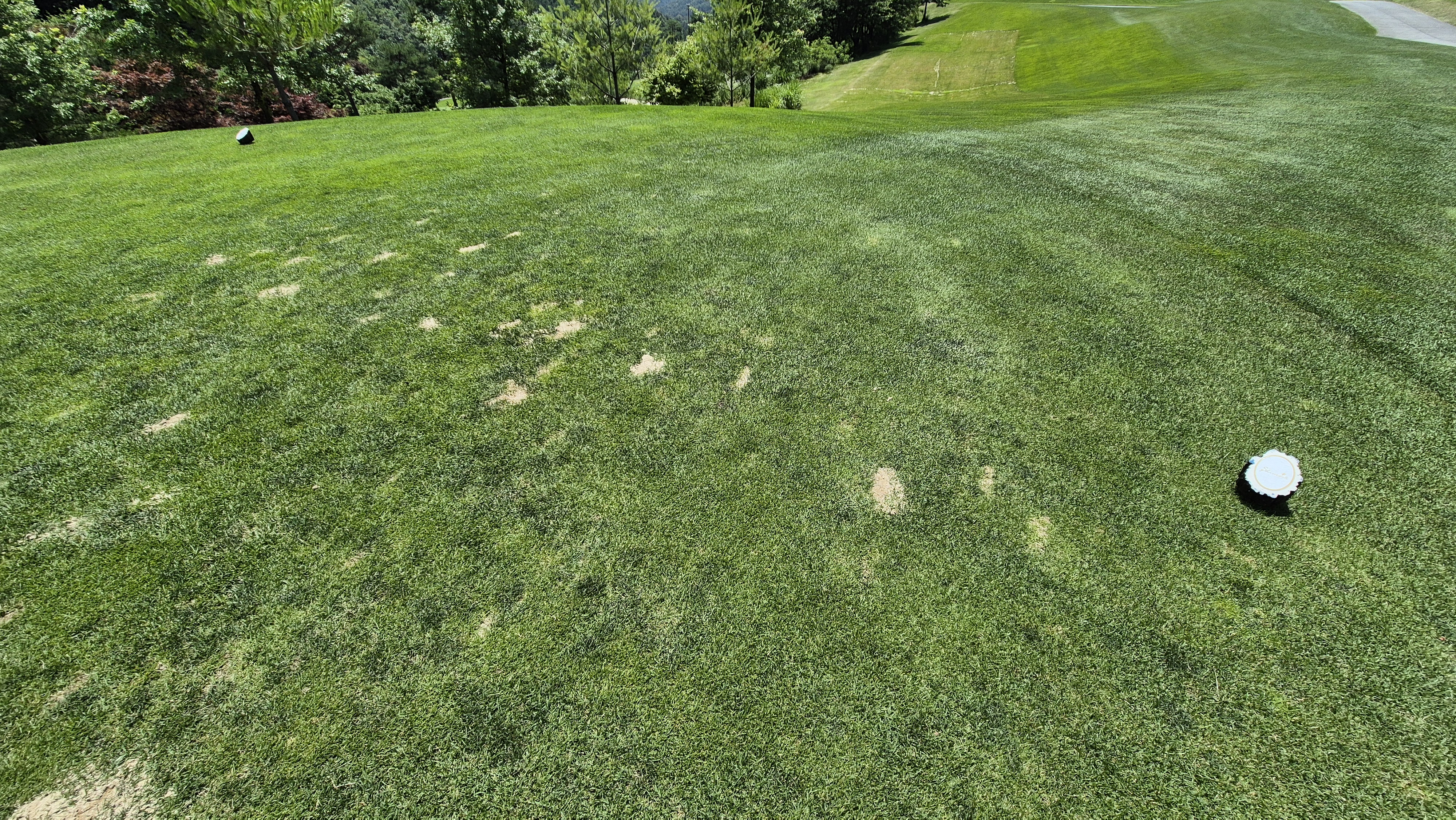 샤인데일cc 라운드 후기