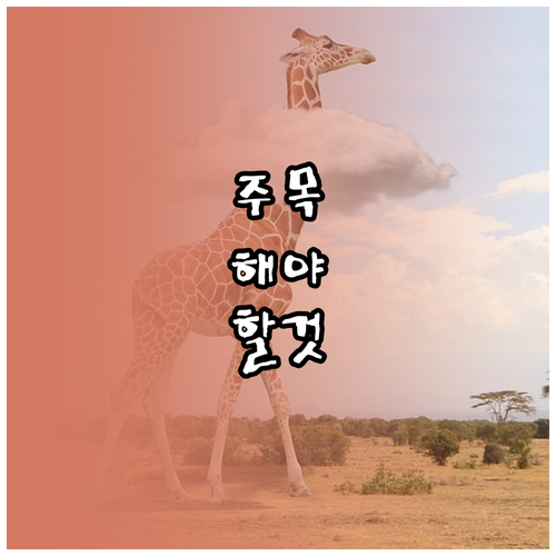 중고거래 사기 걱정 끝 판매자 확인부..
