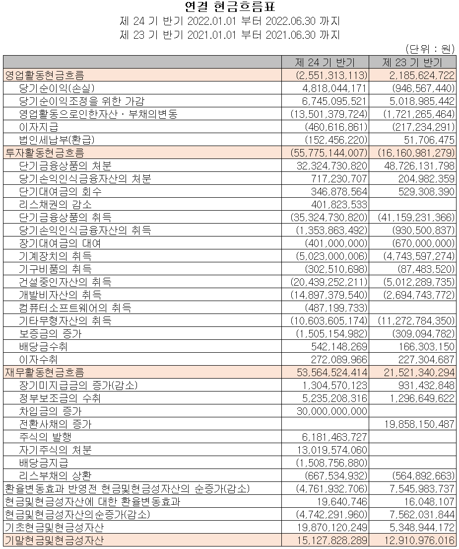 텔레칩스 - 현금흐름표