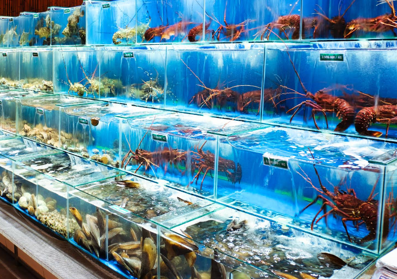 Mai Hương Beachfront