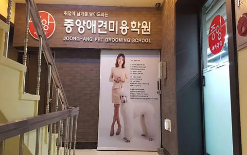 중앙애견미용학원 면목점