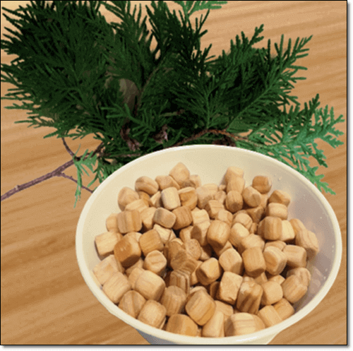 편백나무와 편백볼