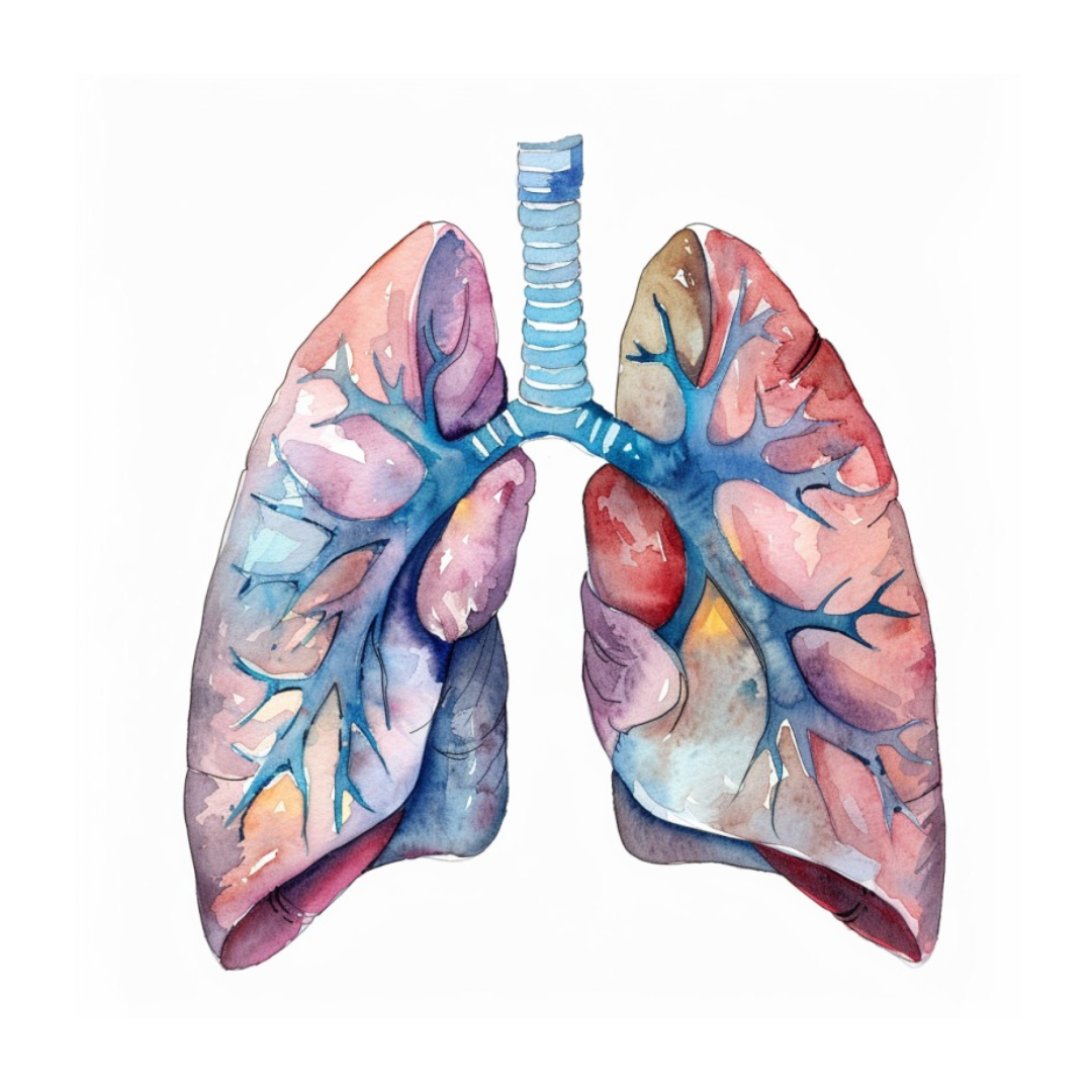 폐암과 관련된 사진입니다.