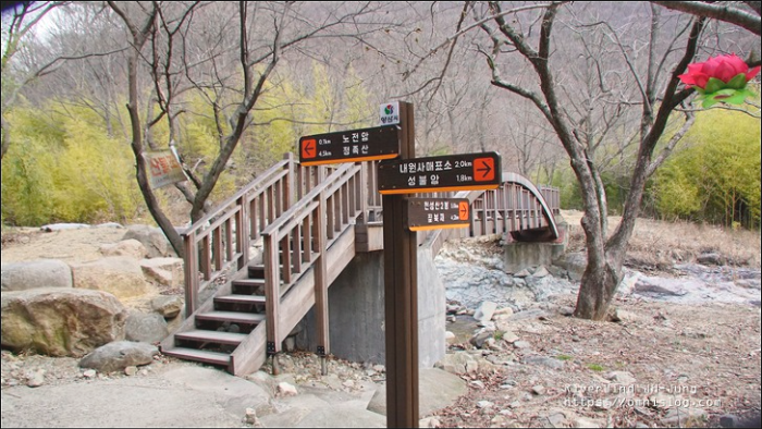 천성산 야생화 보러 가는 길