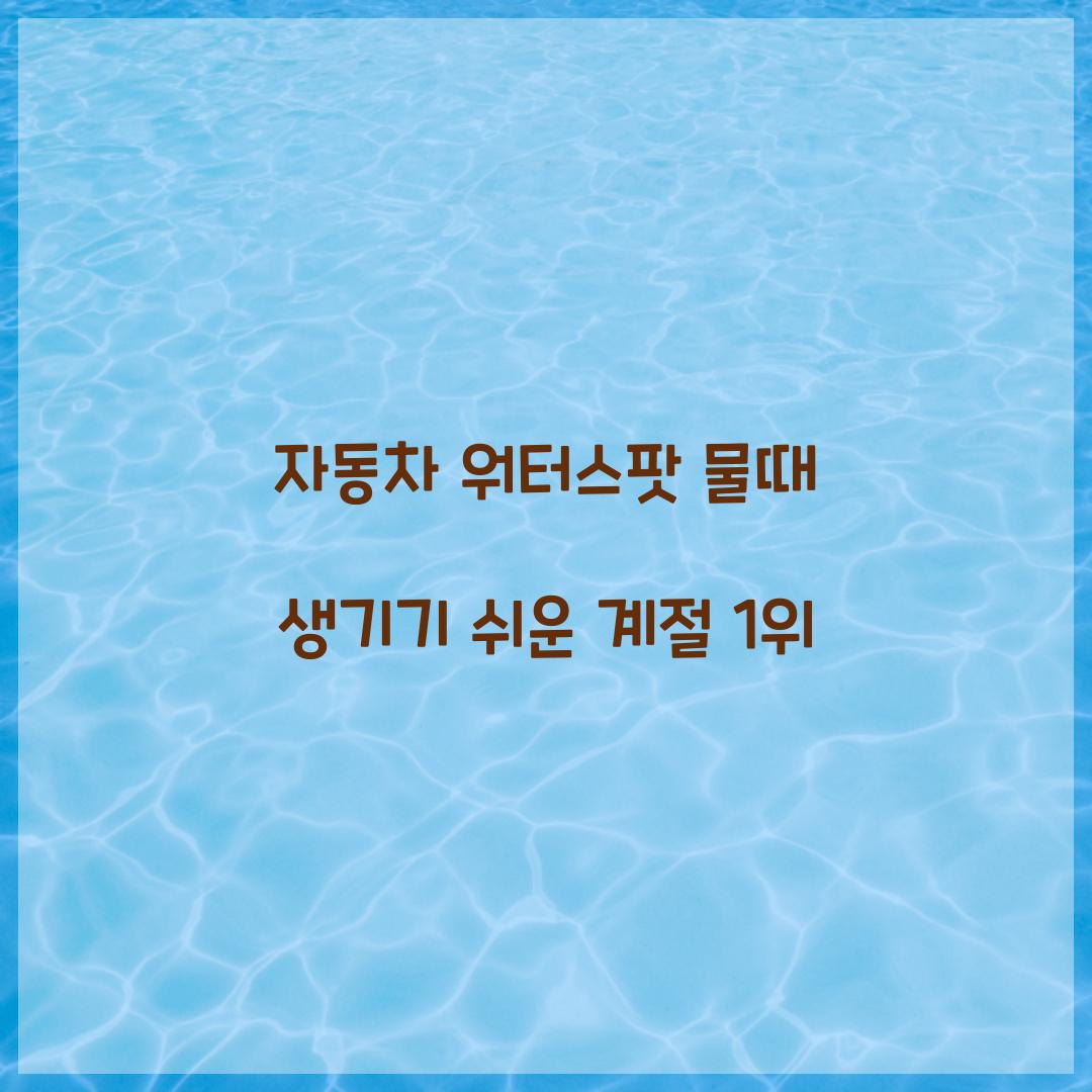 자동차 워터스팟 물때 생기기 쉬운 계절 1위