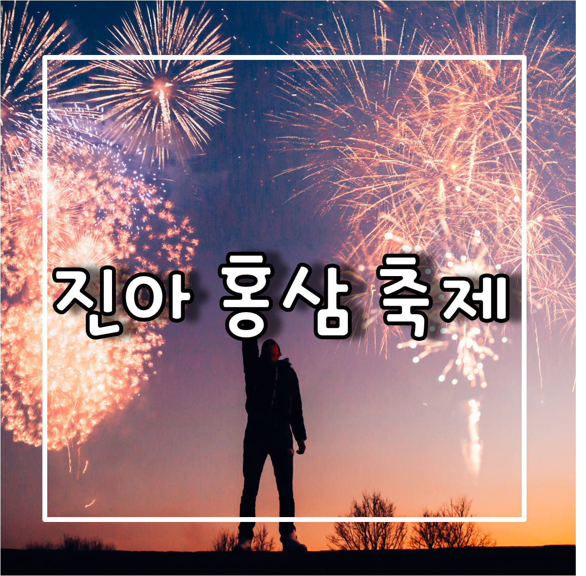 진안홍삼축제