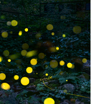 화담숲 예약 할인