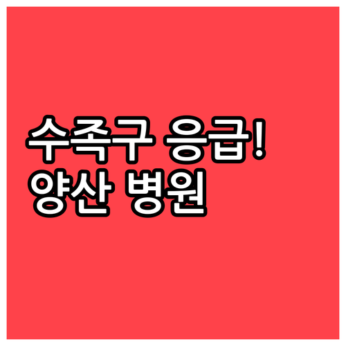 양산시 수족구 전문 병원 및 응급 상..
