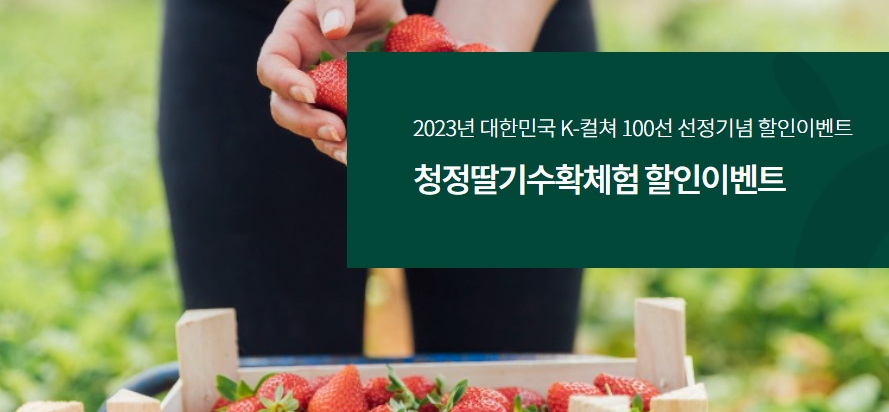 2023 논산딸기축제 일정 정리