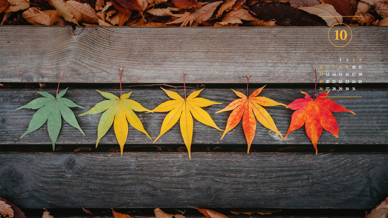 03 단풍잎 A - 2025년10월 노트북배경화면