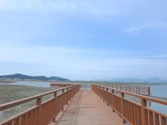 무안 가볼만한곳 베스트10 현지인 추천 필수코스_4