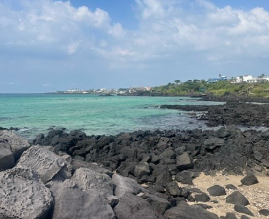 해외여행자-보험