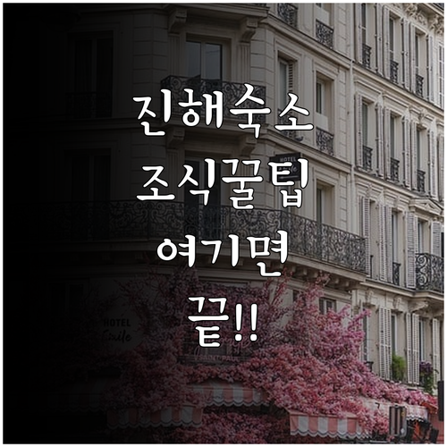 창원 진해 숙소 추천 5곳 위치 장점..