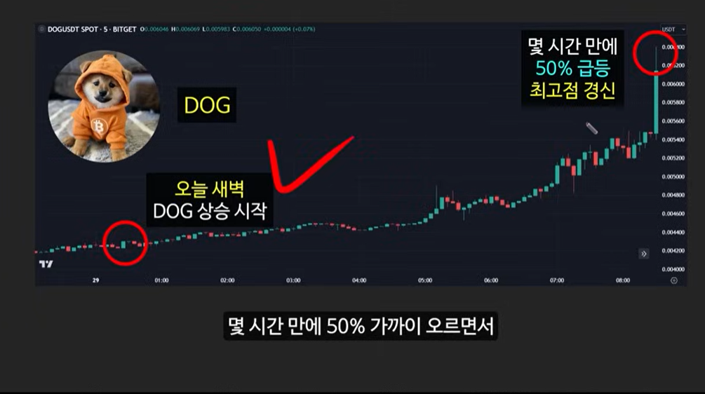 BRC-20 토큰과 비트코인 기반 코인: 사토시 코인의 급등 이유와 주요 토큰 소개 (룬즈, OrangeDX, Dog코인, Pups, ORDI)